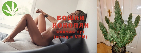 ALPHA PVP Новозыбков