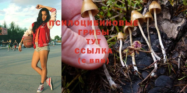 jwh Новокубанск