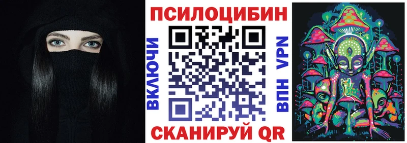 купить наркотики цена  Губаха  KRAKEN зеркало  Галлюциногенные грибы MAGIC MUSHROOMS 