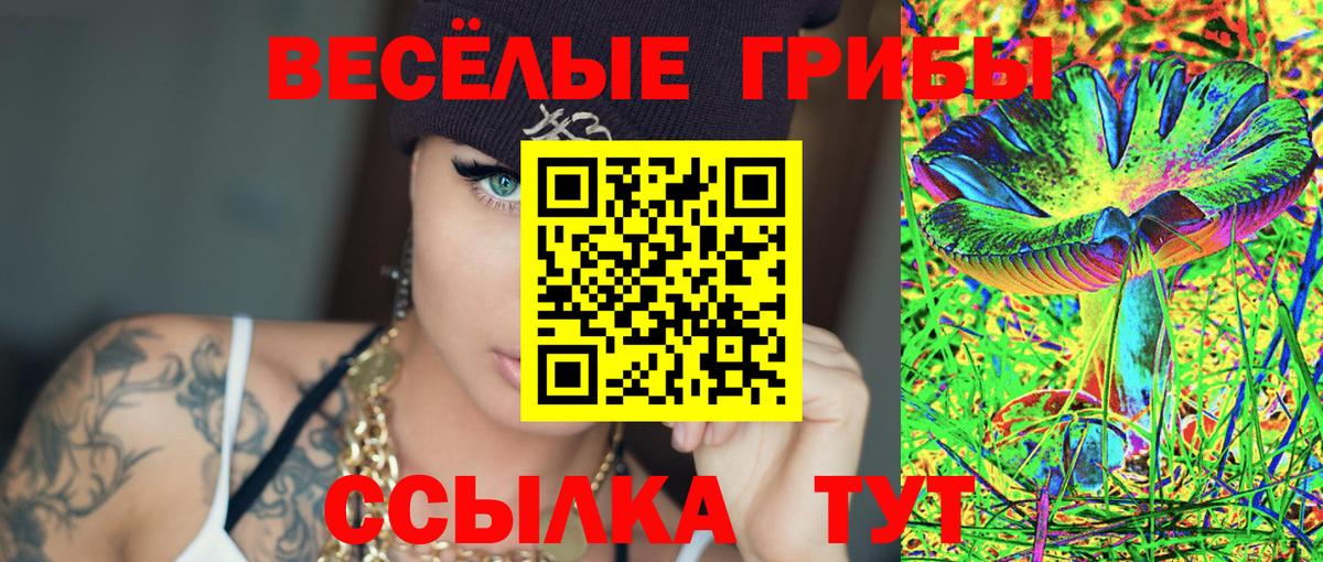 Галлюциногенные грибы Psilocybine cubensis Губаха