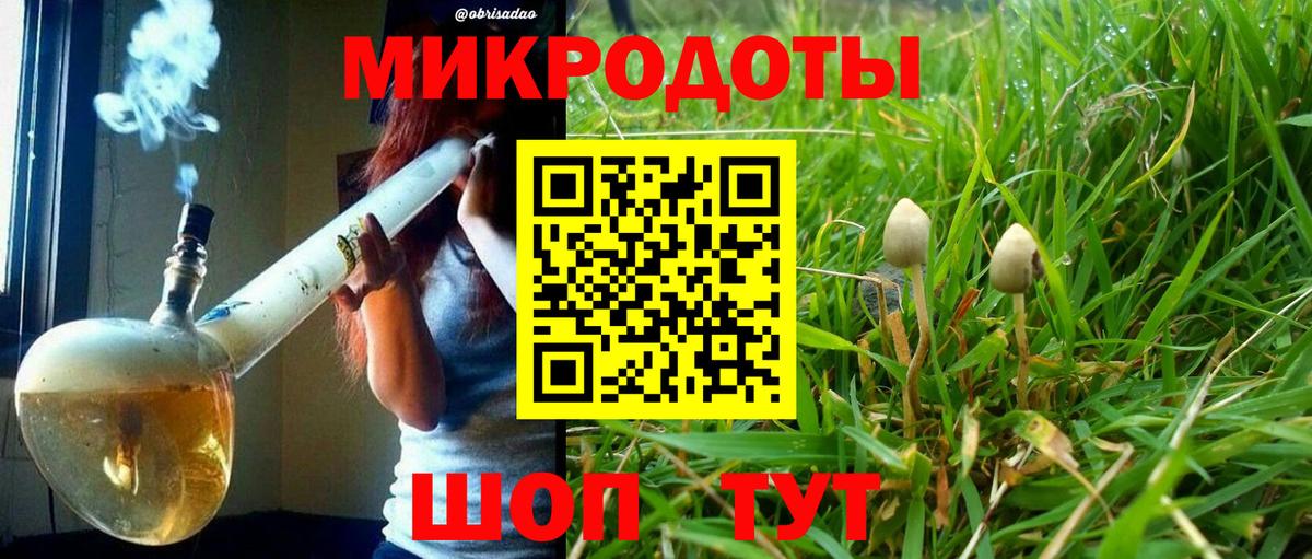 Губаха  Псилоцибиновые грибы прущие грибы  Вход с VPN 