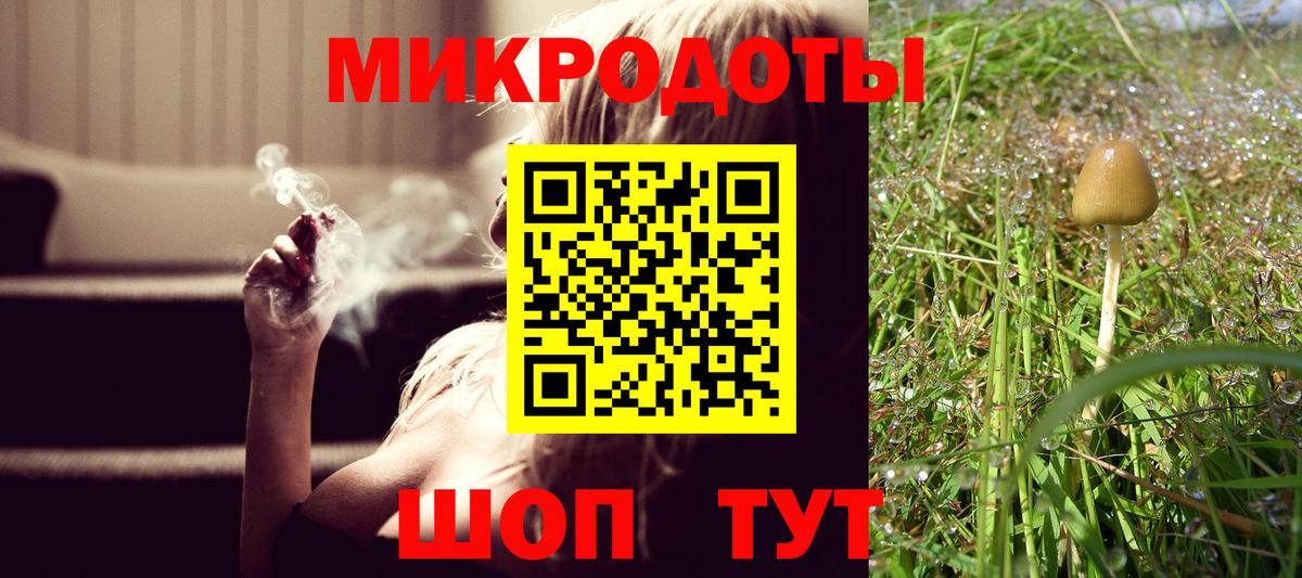 Галлюциногенные грибы прущие грибы  Губаха  Галлюциногенные грибы Magic Shrooms 