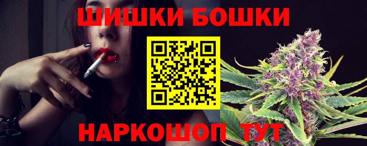 Канабис планчик  Каннабис конопля  Губаха 